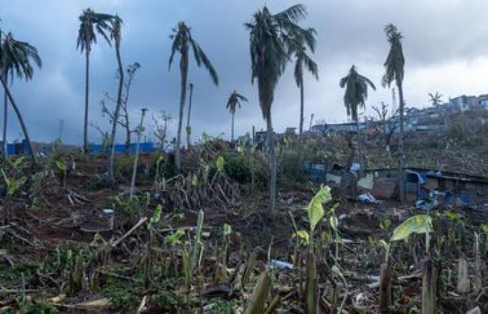 Tre settimane dopo il ciclone, qual è la valutazione ambientale dei danni a Mayotte?