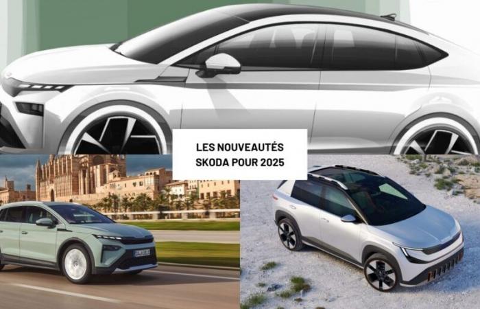 I nuovi prodotti Skoda nel 2025, un programma elettrico e senza dubbio epico