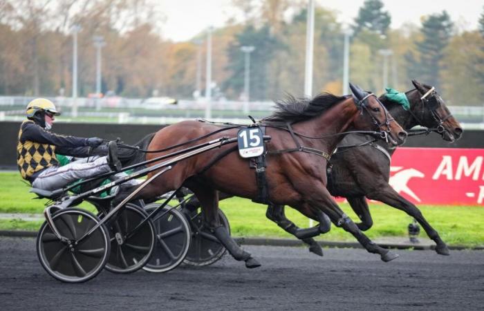 I tre favoriti per il Prix d’Amérique 2025 assenti al Prix de Belgique