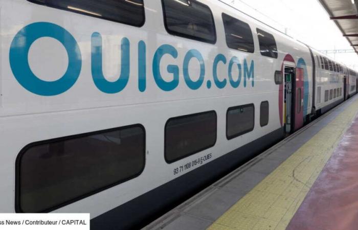 i sindacati mettono in guardia sullo stato dei treni SNCF Ouigo