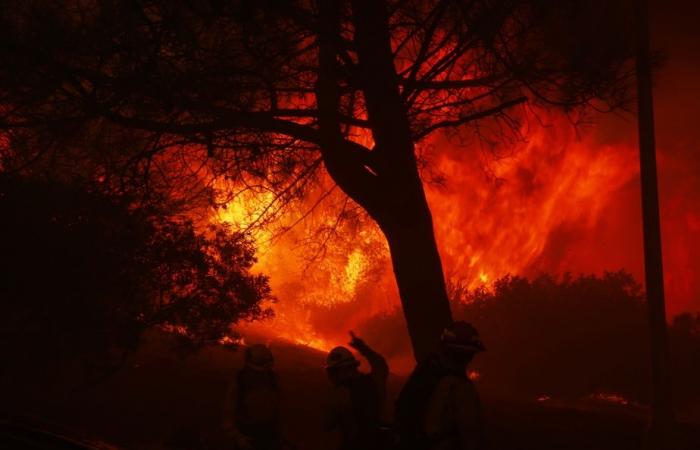 Incendio a Los Angeles | Migliaia di persone sotto ordine di evacuazione