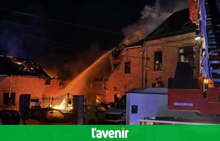 tre feriti lievi, due cani e due gatti dispersi