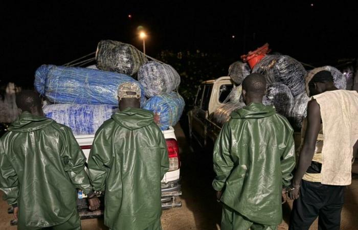 Ocrtis smantella una rete armata e sequestra 277,5 kg di canapa indiana