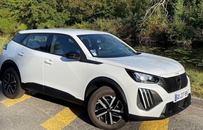 In Francia, la Peugeot 2008 resta la regina dei SUV