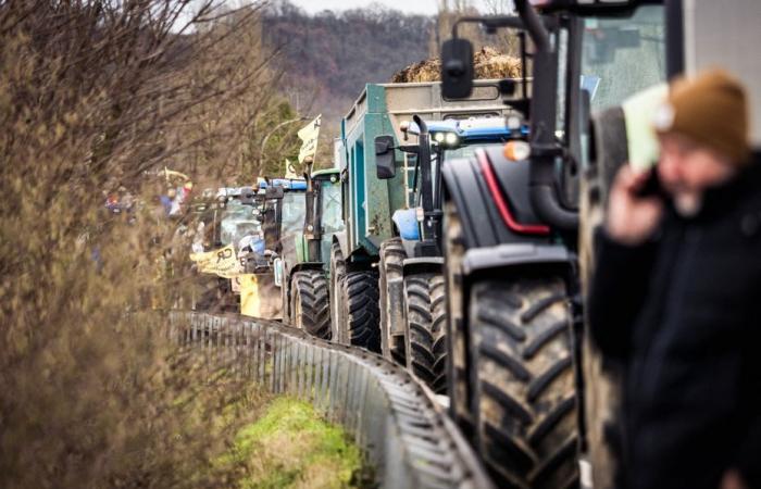 “Ci fermiamo qui, i contadini tornano a casa”, il Coordinamento rurale abbandona il suo movimento a Parigi