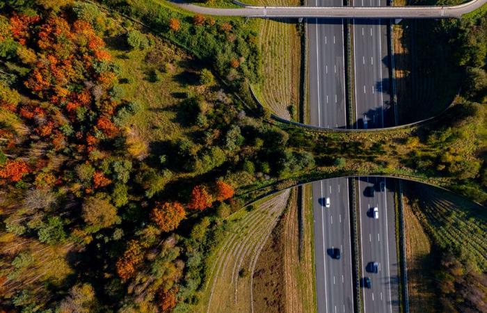 Dal 1° gennaio i prezzi di questa autostrada in Francia sono aumentati vertiginosamente