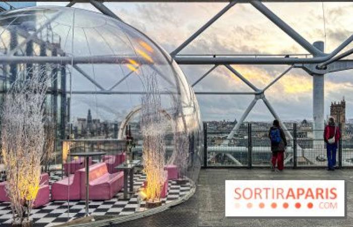 la terrazza invernale del ristorante George in cima al Centre Pompidou