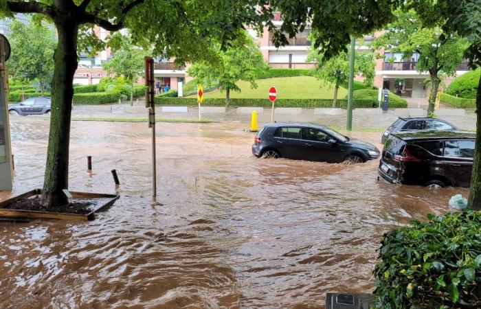 Un piano regionale di risposta all’emergenza messo in atto in caso di inondazioni a Bruxelles