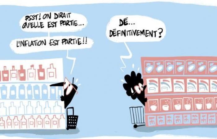 Con un aumento dei prezzi dell’1,3% sul 2024, in Francia si conferma il calo dell’inflazione