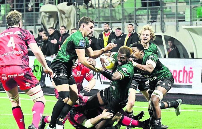 Pro D2. Montauban riprende le forze prima di andare al primo