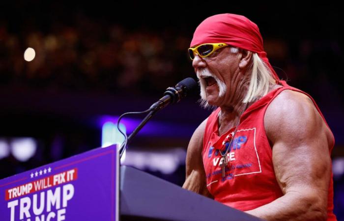 La WWE non ha bisogno di Hulk Hogan