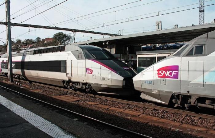 Nel 2025 il prezzo dei biglietti TGV aumenterà in media dell’1,5%.