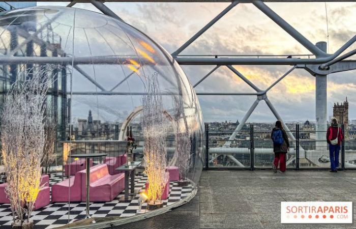 la terrazza invernale del ristorante George in cima al Centre Pompidou