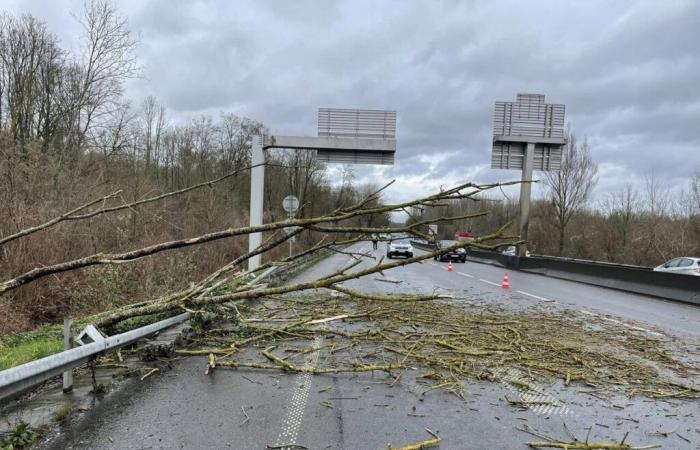 Raffiche a 112 km/h, 2.000 case senza elettricità e strade bloccate