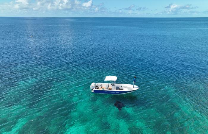 una donna svizzera esplora l’oceano alle Seychelles