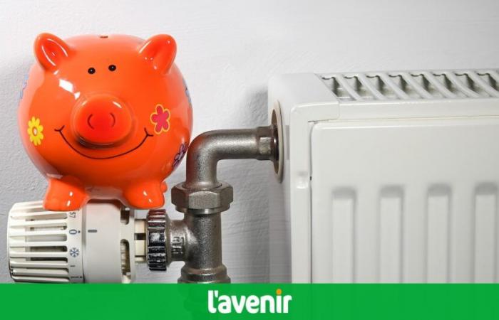 È in Belgio che l’elettricità e il gas sono i più economici, ma questo non è sempre visibile in bolletta