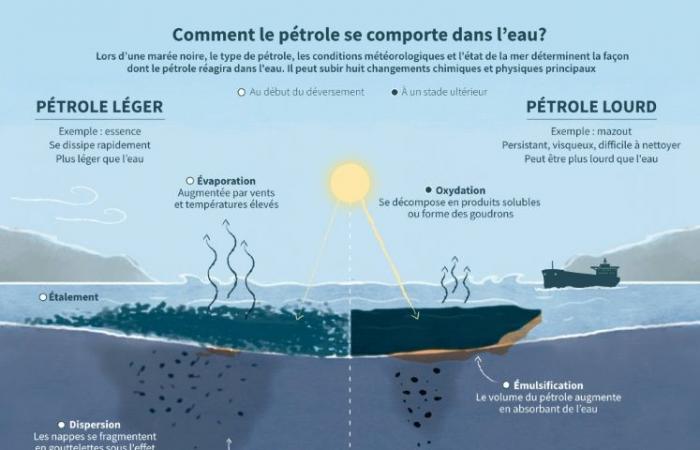 un olio combustibile pesante e “persistente”, difficile da pulire