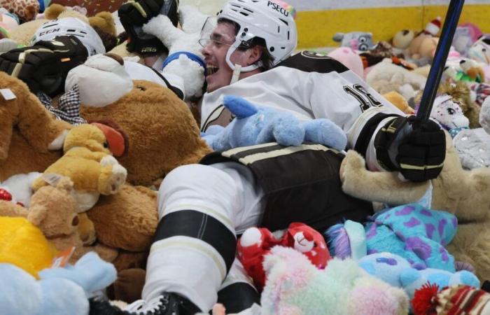 102.343 peluche lanciati nel mezzo di una partita, lo spettacolare record mondiale per gli Hershey Bears