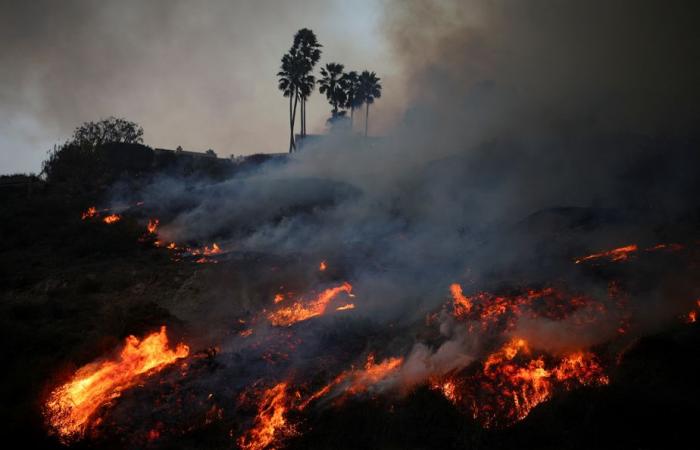 Incendio a Los Angeles | Migliaia di persone sotto ordine di evacuazione