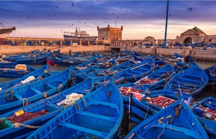 Essaouira supera la soglia del milione di turisti (CPT)