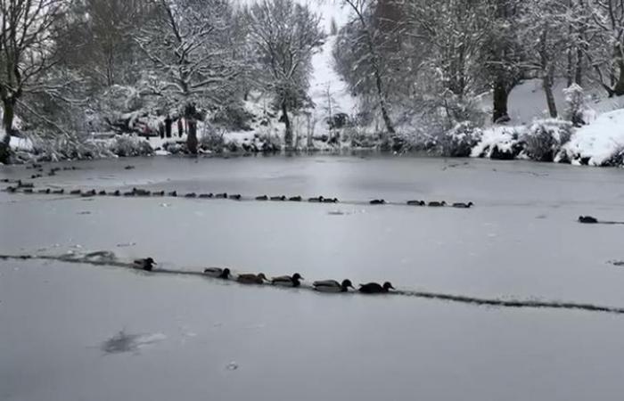 Meteo nel Regno Unito: gravi incidenti dichiarati dopo gravi inondazioni: neve e ghiaccio hanno interrotto i viaggi