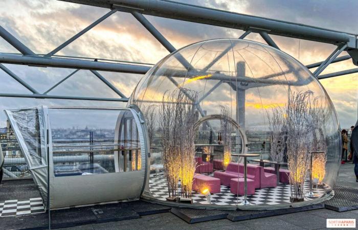 la terrazza invernale del ristorante George in cima al Centre Pompidou