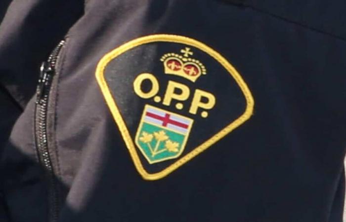 quattro immigrati clandestini arrestati in Ontario