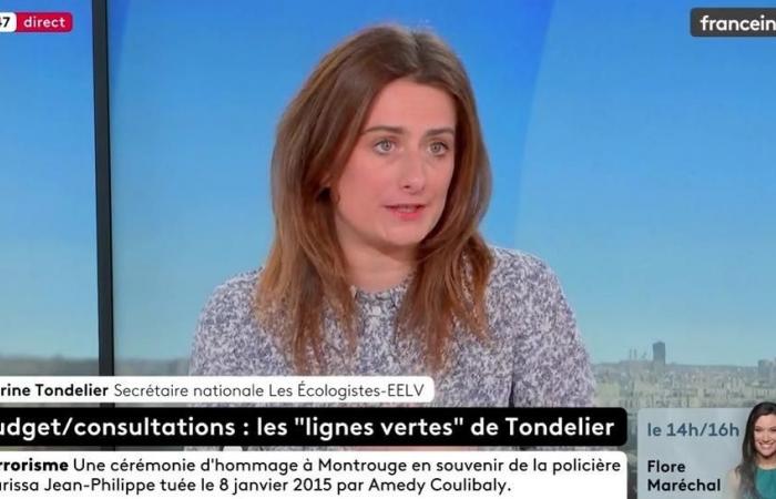 Marine Tondelier rivela dal vivo il suo dramma familiare