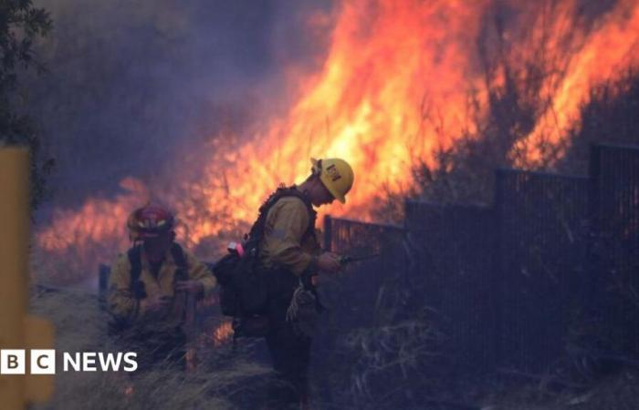 Che ruolo sta giocando negli incendi della California?