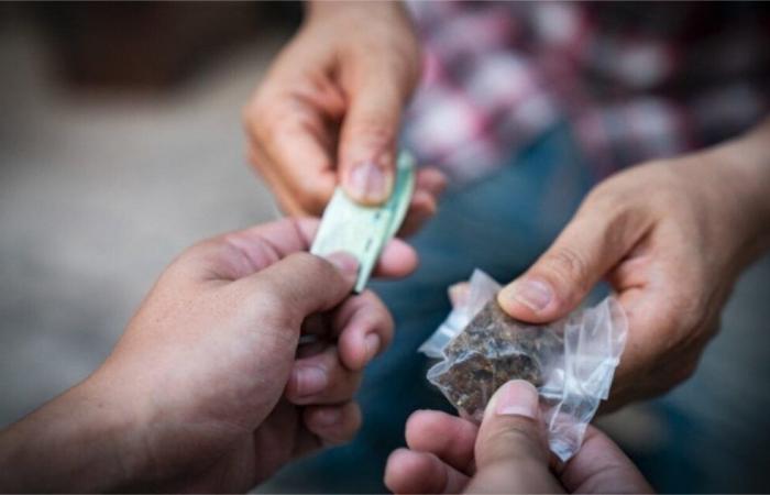 Da una piccola città del Calvados consegnava la droga a casa dei suoi clienti.