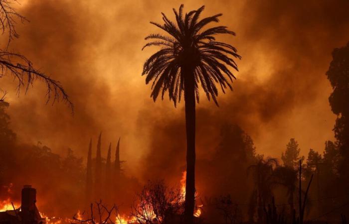 I Critics Choice Awards sono stati cancellati a Los Angeles a causa degli incendi che hanno devastato la città