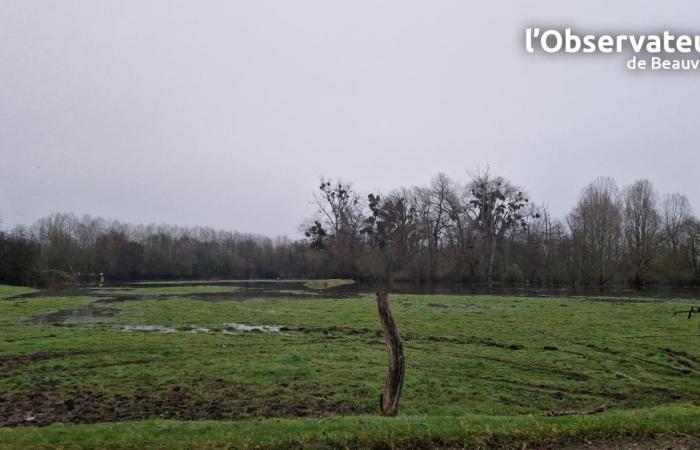 Dopo la neve nell’Oise, attenzione alle inondazioni questo giovedì 9 gennaio