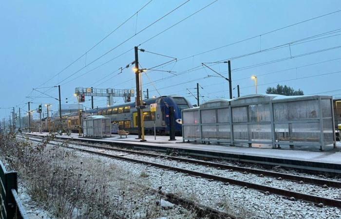 Mercoledì è arrivata la neve al Nord! Ecco le prime foto dei paesaggi bianchi