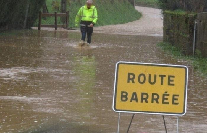 46 interventi dei vigili del fuoco per scantinati allagati