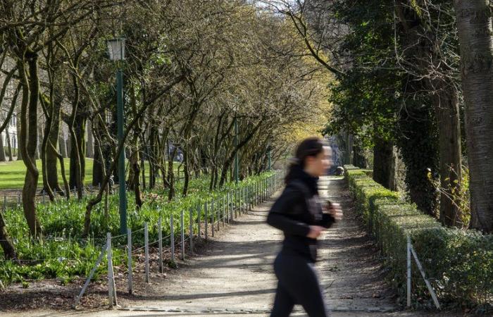 un uomo le salta addosso e cerca di violentarla, lei lo morde e urla per allertare i passanti