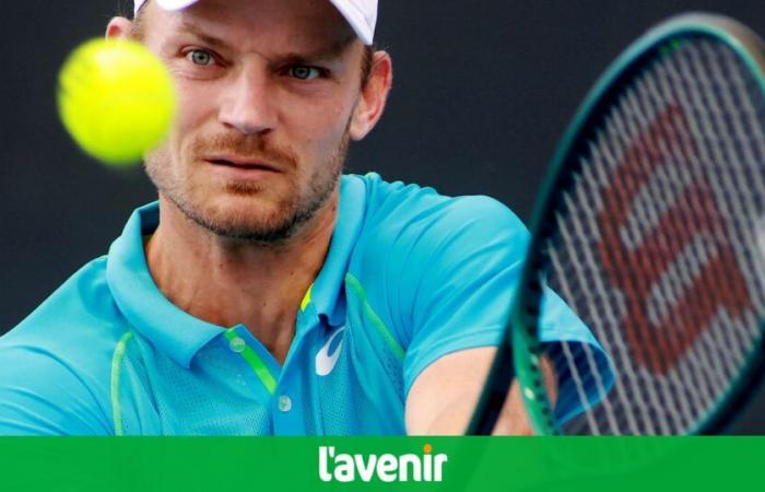 David Goffin ritrova Benjamin Bonzi, Zizou Bergs contro Facundo Diaz Acosta al primo turno, Gauthier Onclin nel big draw