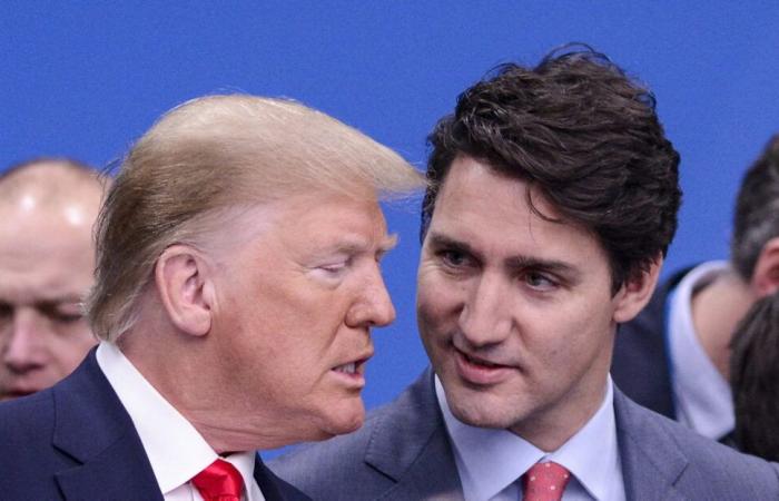 Perché Donald Trump vuole fare del Canada il 51° stato degli Stati Uniti?