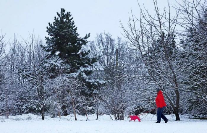 Previsioni meteo ora per ora del Met Office mentre il Merseyside viene colpito con sei giorni di allerta meteo