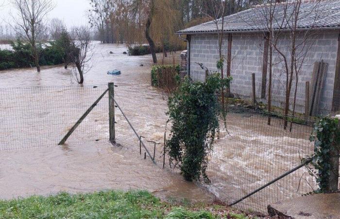 Immagini impressionanti dell’alluvione dell’Epte nella campagna intorno a Gournay-en-Bray