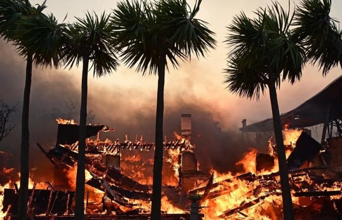 Hollywood, Malibu, Pacific Palisades… Le immagini apocalittiche degli incendi che hanno devastato Los Angeles