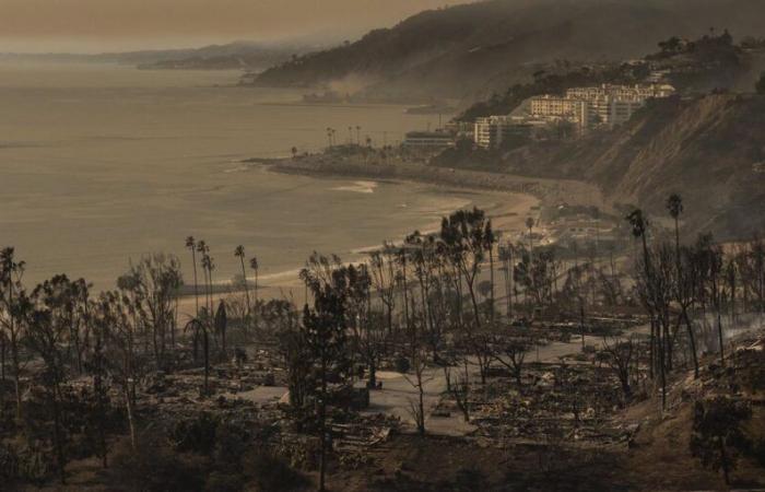 Incendi a Los Angeles: “Mai visto nulla di questa portata”