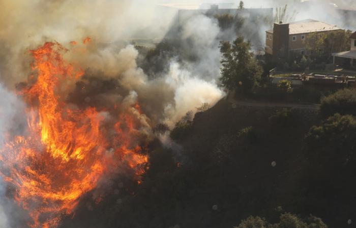 Hollywood, Malibu, Pacific Palisades… Le immagini apocalittiche degli incendi che hanno devastato Los Angeles