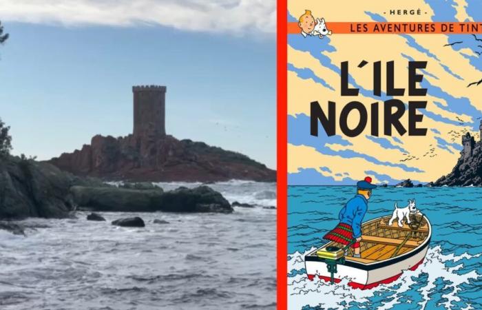 scoperta dell’Isola d’Oro, che ha ispirato un album di Tintin