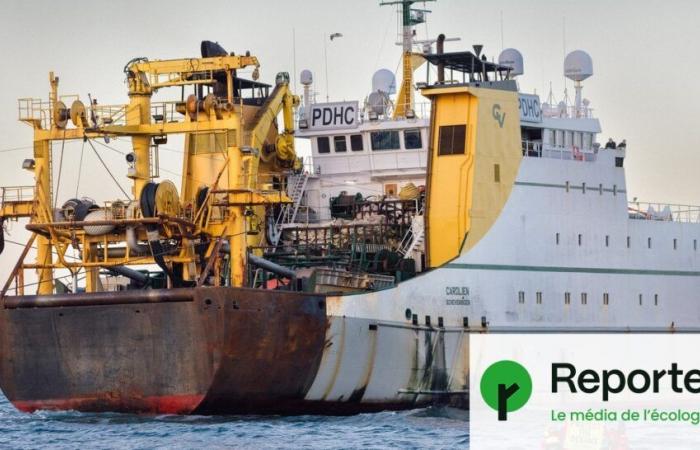 “Ipocrita”, la Francia non protegge davvero gli oceani