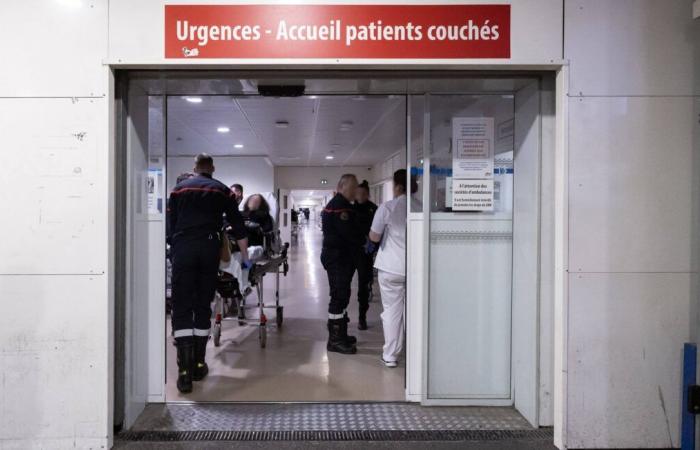 Costola incrinata, frattura… Il pronto soccorso dell’ospedale di Annemasse è stato chiuso dopo un violento attacco