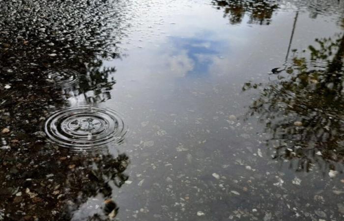 Bollettino meteorologico. Pioggia e nuvole per questo fine settimana a Tolosa e in Occitania