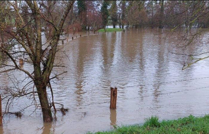 Immagini impressionanti dell’alluvione dell’Epte nella campagna intorno a Gournay-en-Bray