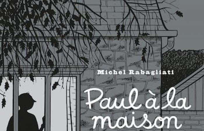 Il murale di Paul, eroe del fumettista del Quebec Michel Rabagliati, vandalizzato a Montreal