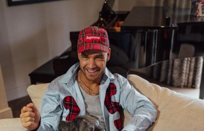 La causa della morte di Liam Payne degli One Direction è stata confermata