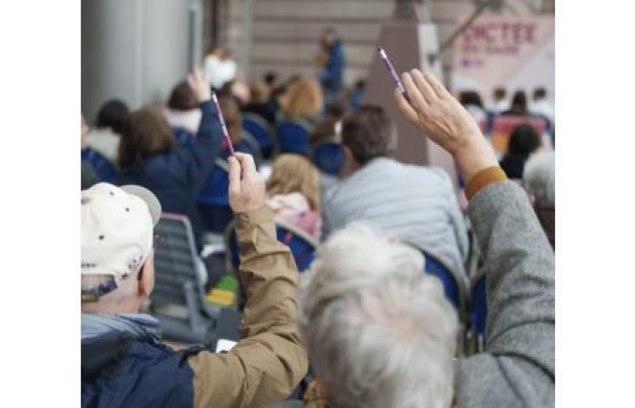 DETTATURA ALLA STAZIONE 2025